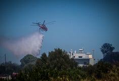 Φωτιά στην περιοχή Μανδρότοπος στη Δράμα 