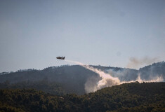 Ρέθυμνο: Τρία τα μέτωπα της φωτιάς - Κοντά σε σπίτια οι φλόγες