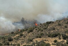 Αναζωπύρωση της φωτιάς στο Ρέθυμνο: Μήνυμα από το 112 για εκκένωση του χωριού Αποδούλου