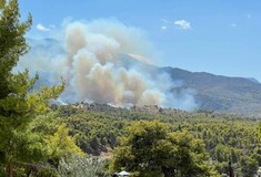 Φωτιά τώρα στα Μέγαρα: Μήνυμα 112 για εκκένωση 