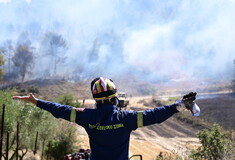 Φωτιά στην Αττική: Όλες οι κυκλοφοριακές ρυθμίσεις - Τα τρία πύρινα μέτωπα 