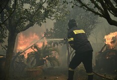 Φωτιά στην Αττική: Πού συγκεντρώνονται είδη πρώτης ανάγκης για πυρόπληκτους και πυροσβέστες