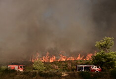 Φωτιά στην Αττική: Άνω των 20 χιλιομέτρων το πύρινο μέτωπο