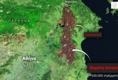 Meteo: Δορυφορική εικόνα από τη φωτιά στον Βαρνάβα- Έχουν καεί 100.000 στρέμματα