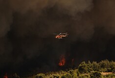 Φωτιά στην Αττική: Τι απαντά η Πυροσβεστική για τα εναέρια μέσα