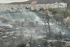 Φωτιά στη Γλυφάδα: Μαθητές γυμνασίου οι ανήλικοι που συνελήφθησαν για εμπρησμό