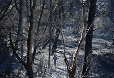 Φωτιά στην Αττική: Προ ημερησίας συζήτηση στη Βουλή ζητά ο Ανδρουλάκης - Τον Σεπτέμβριο, απαντά η κυβέρνηση