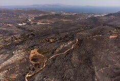 Φωτιά στην Αττική: Από την καμένη έκταση περίπου το 10% ήταν υψηλό δάσος