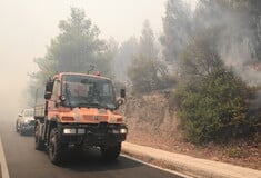 Πολύ υψηλός κίνδυνος πυρκαγιάς σε εννέα περιφέρειες προβλέπεται για σήμερα, Δεκαπενταύγουστο