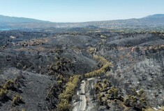 Κικίλιας: «Αύριο ενώπιον ανακρίτριας 80χρονος ως υπαίτιος για 4 εστίες φωτιάς στην Αττική» 