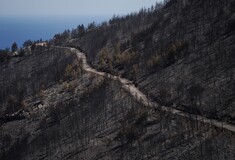 «Πρόληψη, επέμβαση αλλά και αποκατάσταση» λέει ο Λέκκας στον απόηχο της φωτιάς στην Αττική