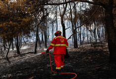 Στην ανακρίτρια σήμερα ο 80χρονος που κατηγορείται για την πρόκληση 4 πυρκαγιών από πρόθεση