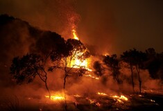 Υπό μερικό έλεγχο η φωτιά στον Έβρο