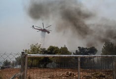 Φωτιά στο Πλαίσιο Θεσπρωτίας - Οριοθετήθηκε το μέτωπο στη Δροσοπηγή Ιωαννίνων