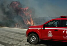 Φωτιά κοντά σε κατοικημένη περιοχή στην Πρέβεζα