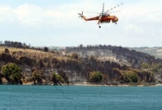 Δύο συλλήψεις για φωτιές στον Μαραθώνα- Σεσημασμένοι οι εμπρηστές