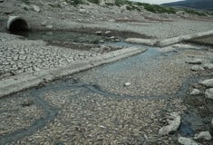 Βόλος: Σχεδόν πλήρως καθάρισε ο Παγασητικός από τα νεκρά ψάρια – Σε ισχύ η απαγόρευση κολύμβησης