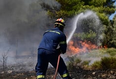 Φωτιά τώρα έξω από το χωριό Νάπη της Λέσβου