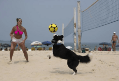 Ο Φλόκι, ο σκύλος που «διδάσκει» footvolley στις παραλίες του Ρίο 