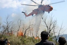 Χανιά: Φωτιά τώρα στην Κίσσαμο