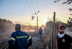 Στις 27 ανήλθαν οι φωτιές το τελευταίο 24ωρο - Πολύ υψηλός κίνδυνος και αύριο