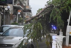 Θεσσαλονίκη: Πτώσεις δέντρων και κλαδιών λόγω των ισχυρών ανέμων στην πόλη