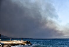 Φωτιά στο Ξυλόκαστρο: Ο πυκνός καπνός κάλυψε τον ουρανό της Κορινθίας