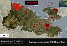 Χάρτης του Meteo με την καμένη έκταση από τη φωτιά στο Ξυλόκαστρο