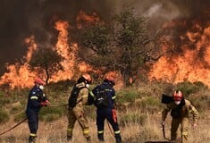 Φωτιά στο Ξυλόκαστρο: Πρόστιμο σε μελισσοκόμο που έκανε εργασίες λίγο πριν εκδηλωθεί η πυρκαγιά