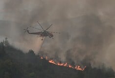 Φωτιά στο Ξυλόκαστρο: Χωρίς ενεργό μέτωπο, μάχη με τις διάσπαρτες εστίες