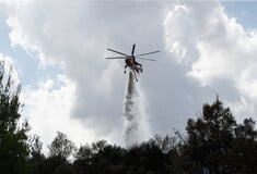 Φωτιά τώρα στη Λέσβο - Καίγεται περιοχή κοντά σε ελαιώνα