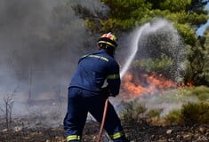 Φωτιά στην Εύβοια: Ξέσπασε στο ΧΥΤΑ του Δήμου Ιστιαίας Αιδηψού