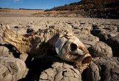 Η χειρότερη επισιτιστική κρίση στη Νότια Αφρική εδώ και δεκαετίες λόγω Ελ Νίνιο