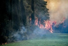 Πολύ υψηλός κίνδυνος πυρκαγιάς αύριο στην Κρήτη - Σε ποιες περιοχές είναι επικίνδυνες οι συνθήκες για φωτιά