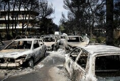 Δίκη για το Μάτι - Μαρίνα Καρύδα: «Την ώρα που καίγονταν ζωντανοί η ηγεσία έκανε αναρτήσεις στα social media»