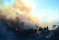 Φωτιά στην Κερατέα: Σηκώθηκαν και εναέρια μέσα