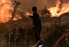 Κως: Συνελήφθη κάτοικος για τη φωτιά στον Κέφαλο