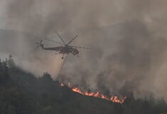 Φωτιά στη Μάνη: Ισχυρές πυροσβεστικές δυνάμεις στον Άγιο Κυπριανό