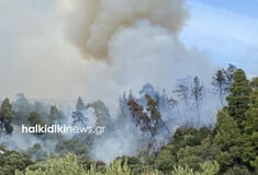 Φωτιά στη Χαλκιδική: Μήνυμα 112 για τον οικισμό Τυπάδες Μαρμαρά 