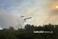 Φωτιά στη Χαλκιδική: Καίγονται ελαιόδεντρα κοντά σε οικισμούς