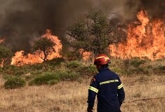 Φωτιά στην Αχαΐα: Ενισχύονται οι δυνάμεις της Πυροσβεστικής, απειλείται το δάσος της Στροφυλιάς