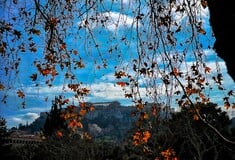 Βαρύς χειμώνας ή φυσιολογικός για την εποχή καιρός; Η πρόγνωση Μαρουσάκη