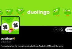 «Πέθανε» η κουκουβάγια του Duolingo