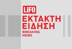 Εθνική Πινακοθήκη: Αφέθηκε ελεύθερος ο βουλευτής της Νίκης, Νίκος Παπαδόπουλος