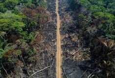 Δάσος του Αμαζονίου υλοτομήθηκε για την κατασκευή δρόμου για την COP30