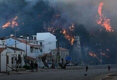 Φωτιά στη Σάμο: Επιχειρούν δεκάδες πυροσβέστες και εθελοντές