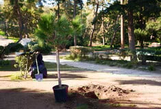 Φιλοπάππου: Χρηματοδότηση από το Πράσινο Ταμείο για την Αποκατάσταση του Λόφου