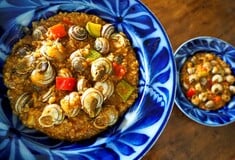 ΕΠΕΞ Οι χοχλιοί ξυπνούν μέσα μας τον σύγχρονο τροφοσυλλέκτη