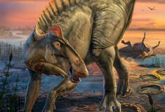 Σπάνιες «μούμιες» δεινοσαύρων φωτίζουν πώς έμοιαζαν και πώς ζούσαν