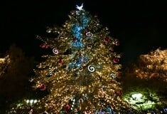 ΧΡΙΣΤΟΥΓΕΝΝΙΑΤΙΚΟ ΔΕΝΤΡΟ ΧΡΙΣΤΟΥΓΕΝΝΑ